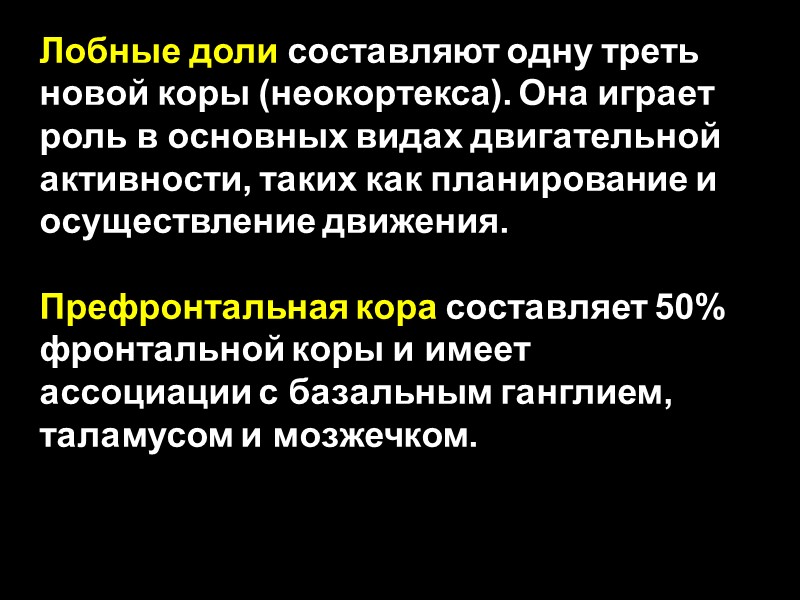 Лобные доли составляют одну треть новой коры (неокортекса). Она играет роль в основных видах